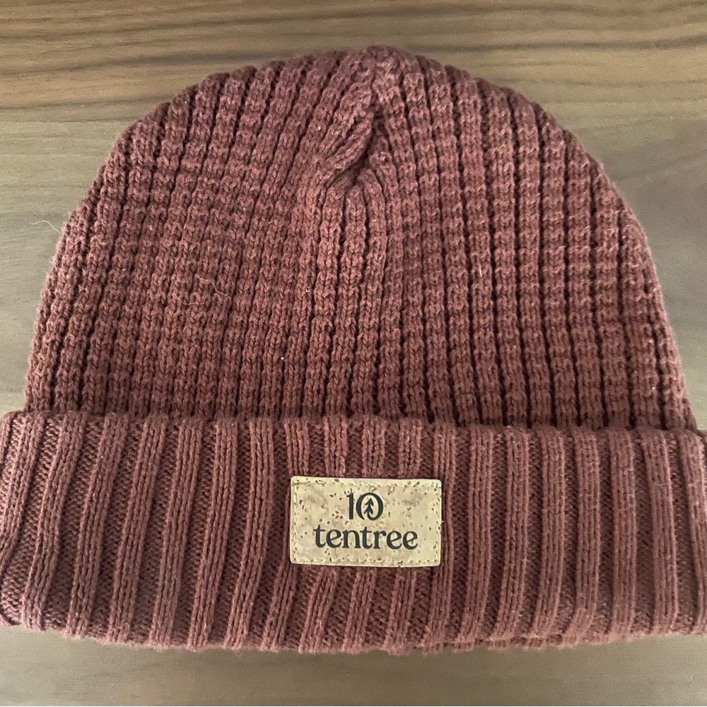 Tentree Touque beanie